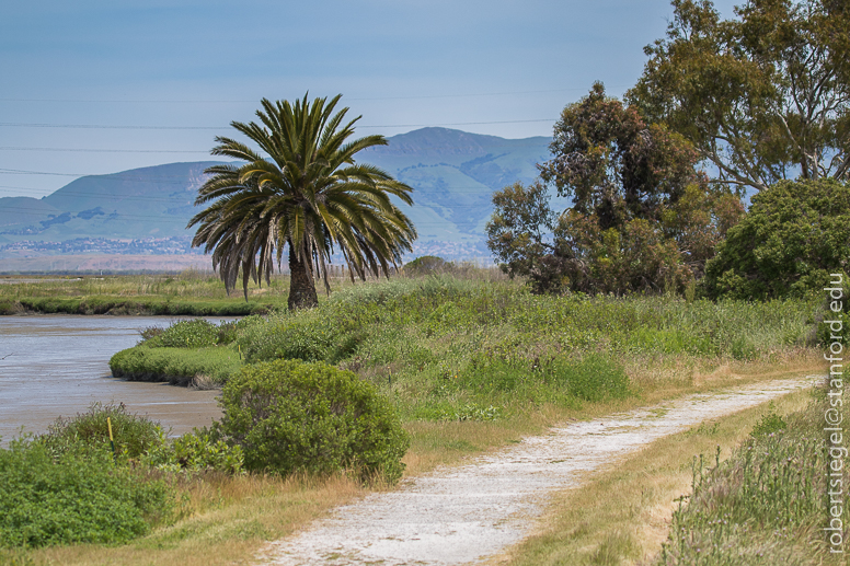 baylands